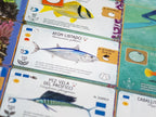 Finspan