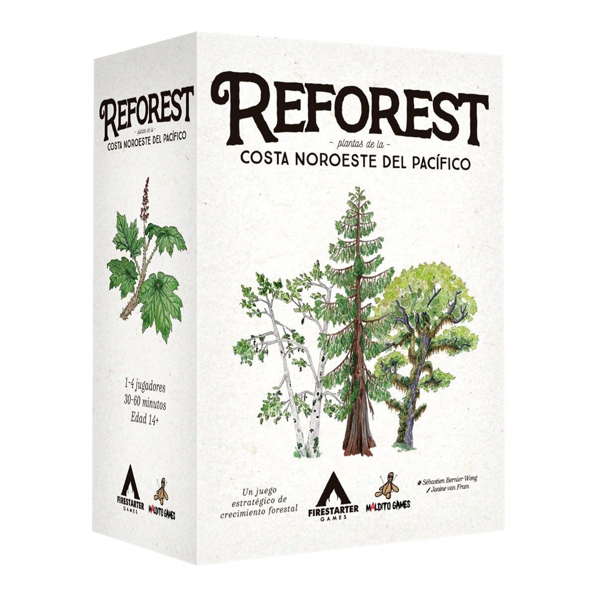 Reforest: Plantas de la Costa Noroeste del Pacífico