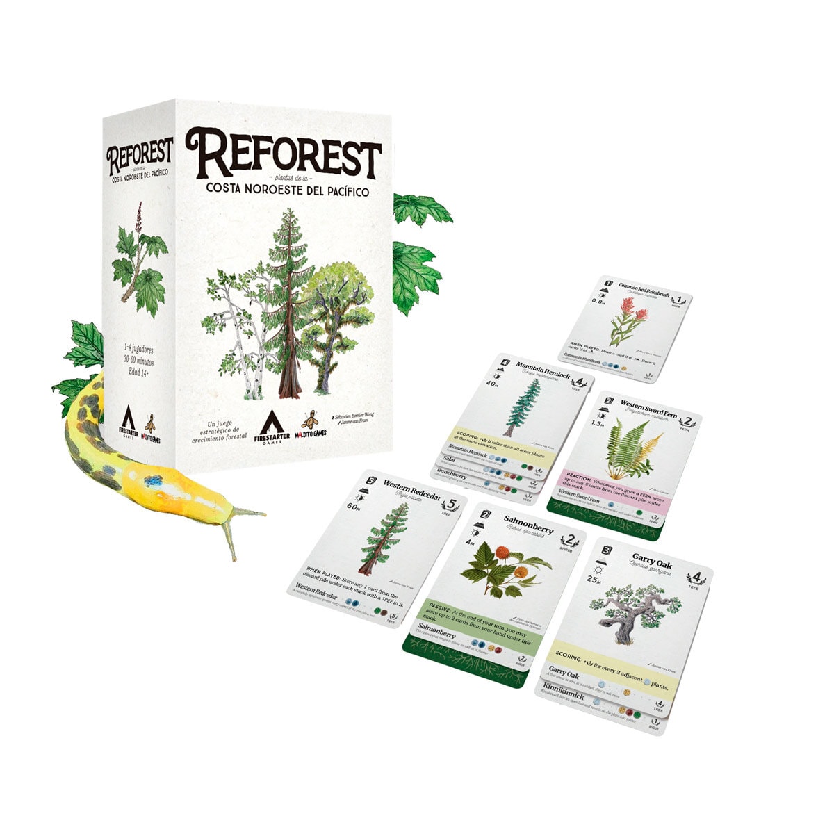 Reforest: Plantas de la Costa Noroeste del Pacífico