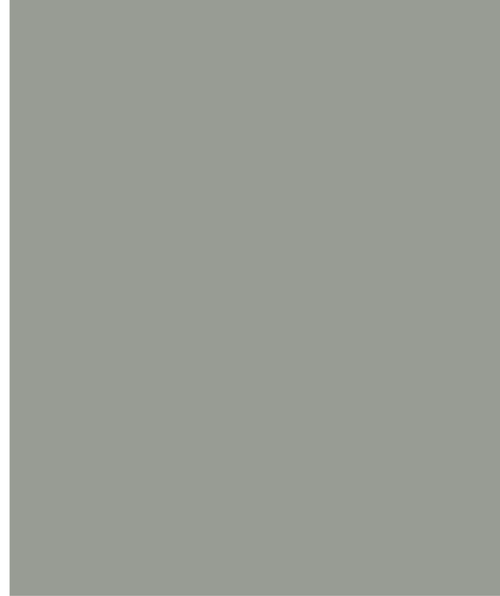 ADMINISTRATUM GREY