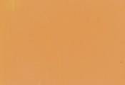 Bronceado 72736