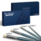 CAJA Pinceles para Pincel Seco BLUE SERIE