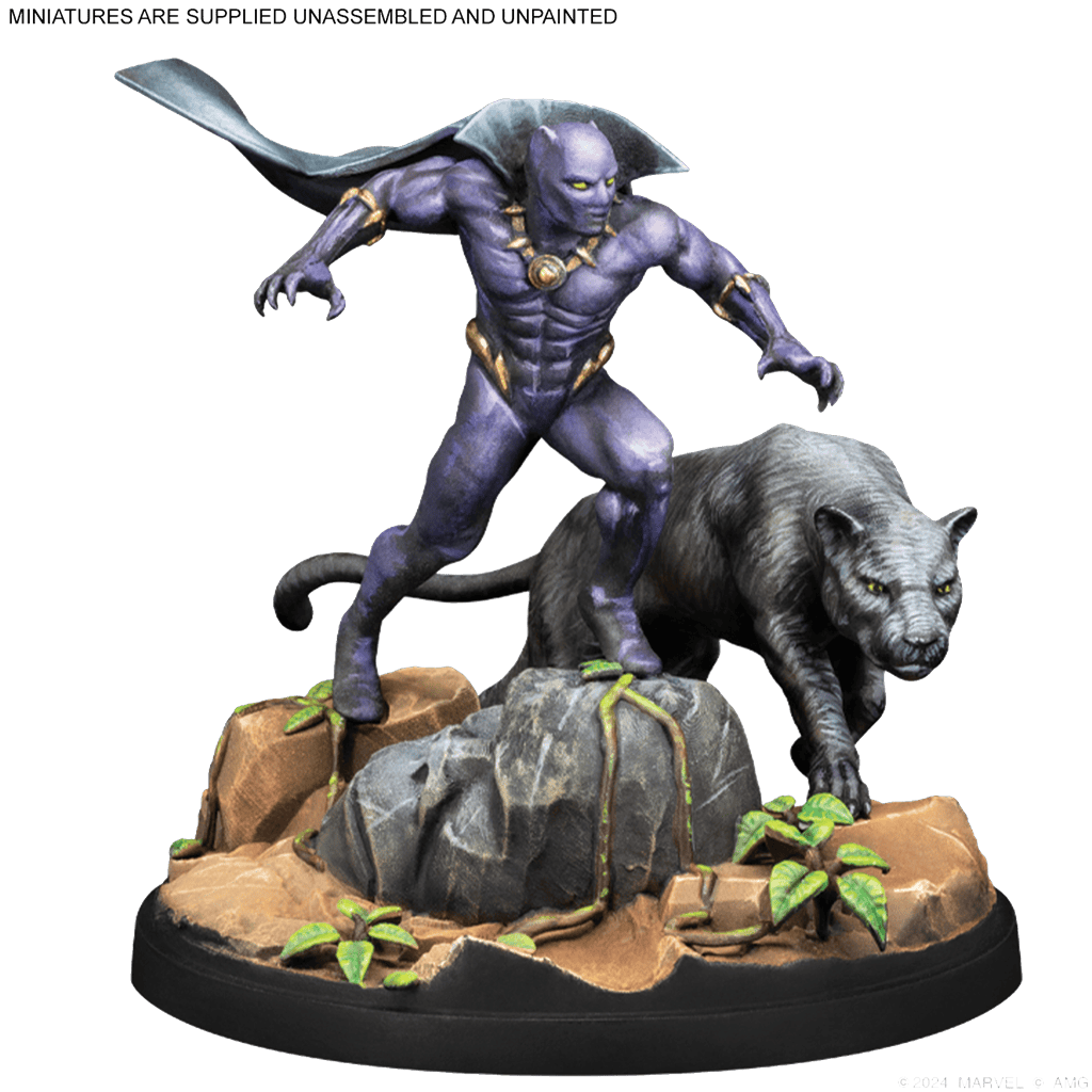 Black Panther &amp; Namor