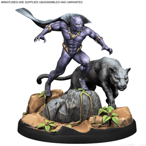 Black Panther &amp; Namor
