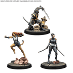 Echo, Ronin &amp; Tigra