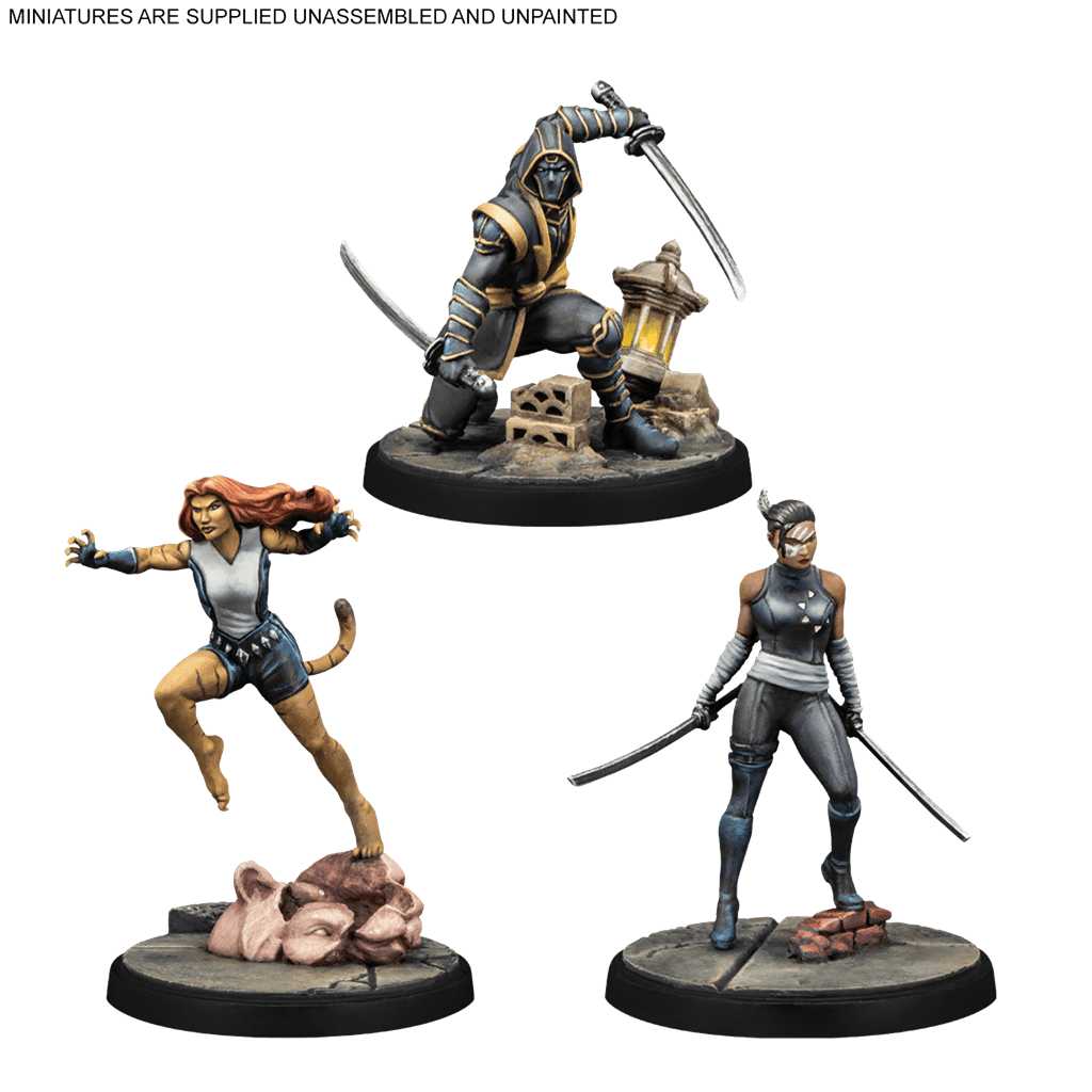 Echo, Ronin &amp; Tigra