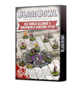 Old World Alliance & Underworld Denizens Pitch and Dugout Set