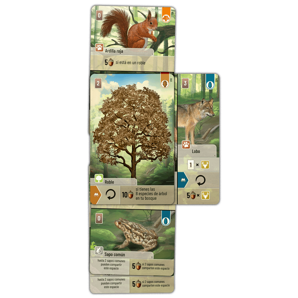 Forest Shuffle