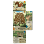 Forest Shuffle