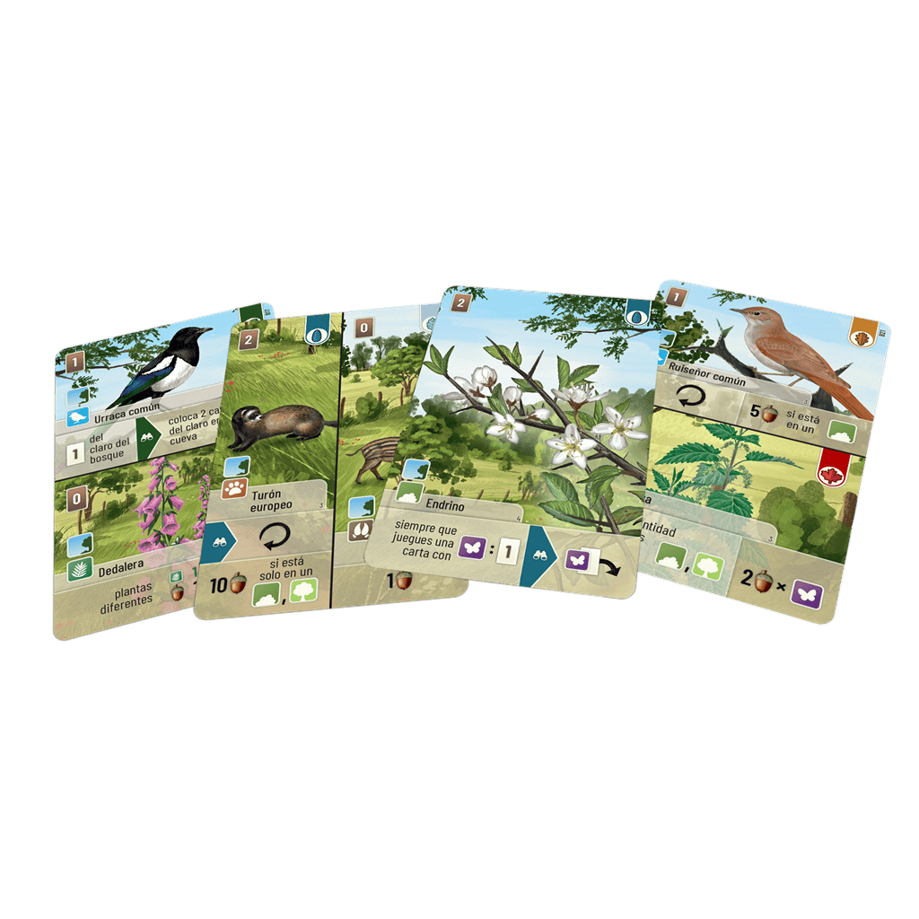 Forest Shuffle Linde del bosque