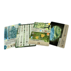 Forest Shuffle Exploración