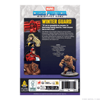 Winter Guard Affiliation Pack​