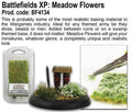 Meadow Flowers