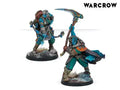 Varank Supports