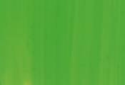 Verde Escorpena 72732